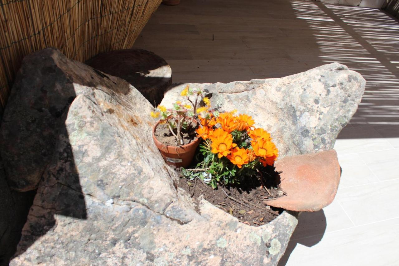 Bed And Breakfast Murales Orgosolo Buitenkant foto
